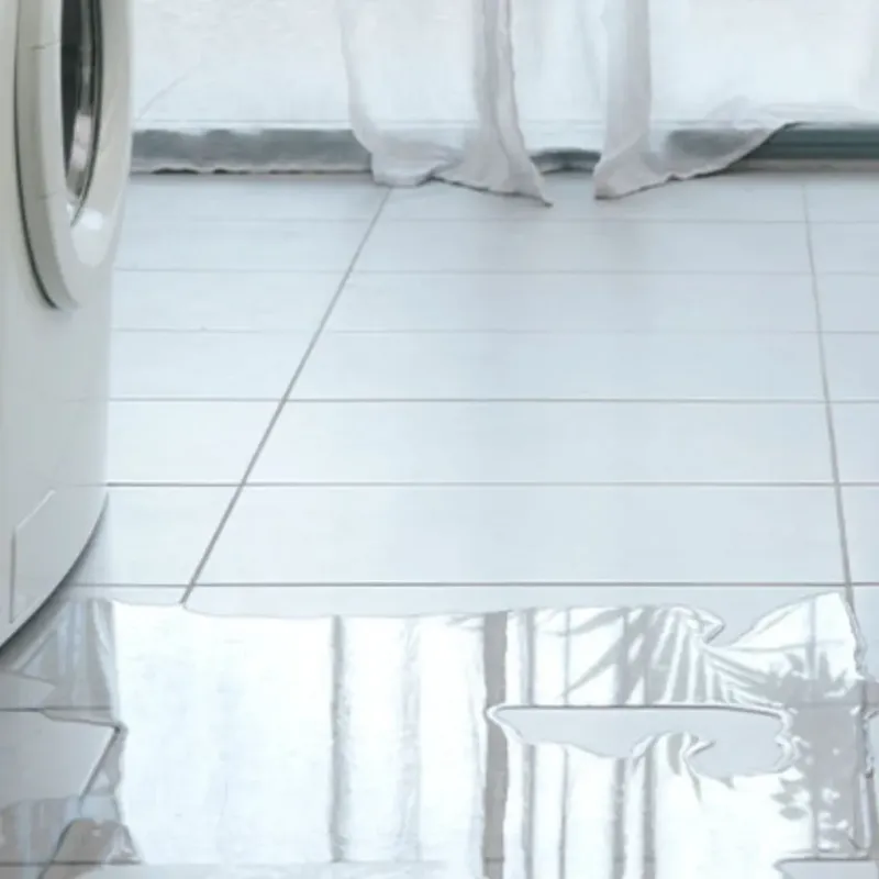 Appliance Leak Cleanup in Bethel Heights, AR