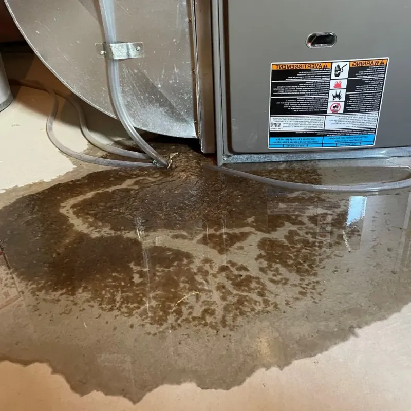Pipe Burst and Leak Restoration in Bethel Heights, AR